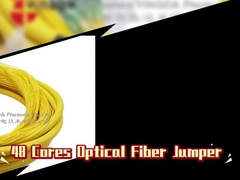 48 nuclei Fibra ottica Jumper Distribuzione Patch Cord Fanout con LC APC