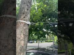 Morsetto di ancoraggio per cavi a sospensione in fibra ottica FTTH per cavi ADSS 8-12mm