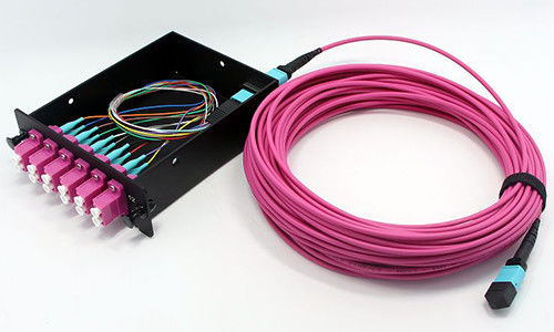 comprare Fibra ottica MPO MTP Cable 8 Fibra OM4 LSZH Jacket per connessioni di rete Data Center fabbricazione online