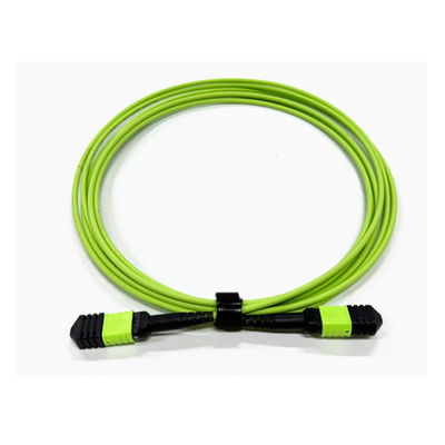 comprare Alta densità 12 Core Multimode OM5 100G Fibra ottica MPO a MPO Cavo di tipo B per il sistema di comunicazione in fibra ottica fabbricazione online