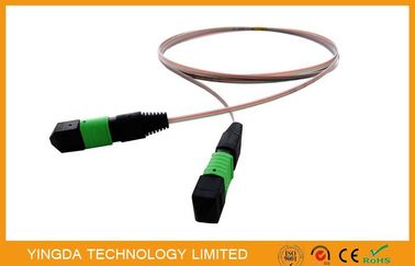 comprare Fibra Mpo al saltatore di Mpo, Mtp/cavo a fibre ottiche maschio del nastro dei 12 centri di singolo modo fabbricazione online